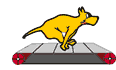track_dog